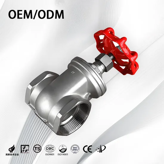  Premium/Russian Standard/Stainless Steel/Vacuum/Slide/Penstock/Pneumatic/Electric/Control/Wedge/Manual/Water/Gate Valve for Industrial Use